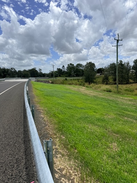 Established grass along road guardrail after hydroseeding