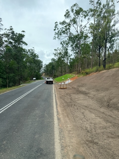 Hydroseeded roadside embankment with early green growth